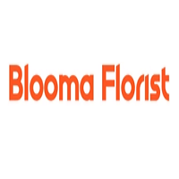 Bloom Florist